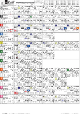 電子版