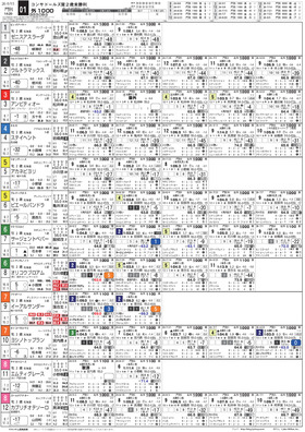 電子版
