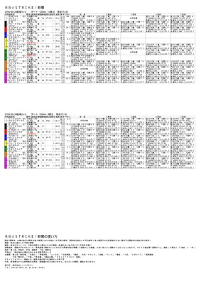 電子版