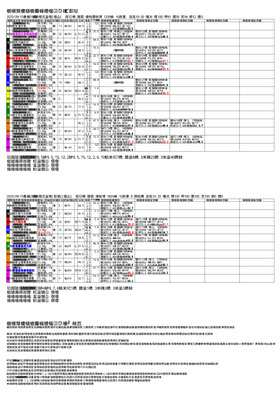 電子版