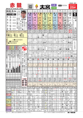 電子版