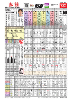 電子版