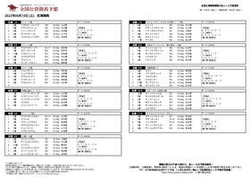 電子版