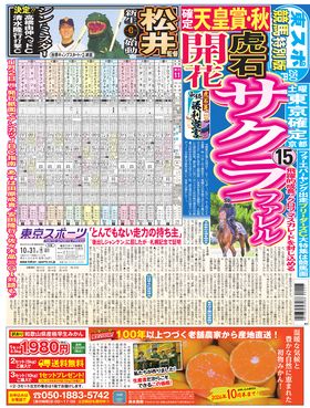表紙画像