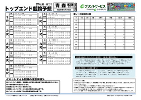 電子版