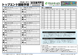 電子版
