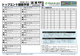 電子版