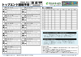 電子版