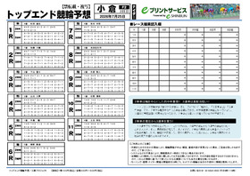 電子版
