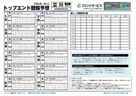 電子版