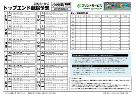 電子版
