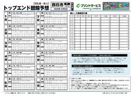 電子版