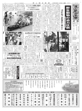 表紙画像
