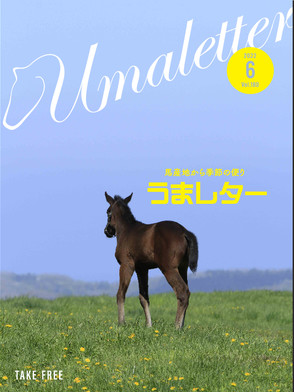 競馬pr誌 競馬専門紙 競馬予想紙 競馬新聞 ネット新聞 電子新聞 電子書籍 電子雑誌