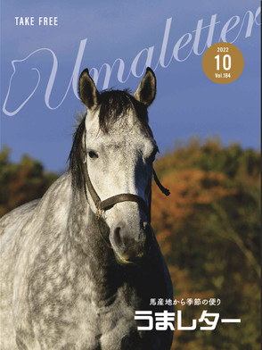 競馬pr誌 競馬専門紙 競馬予想紙 競馬新聞 ネット新聞 電子新聞 電子書籍 電子雑誌