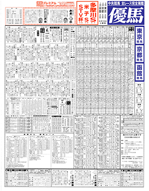 電子版