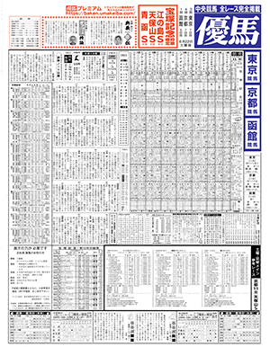 電子版